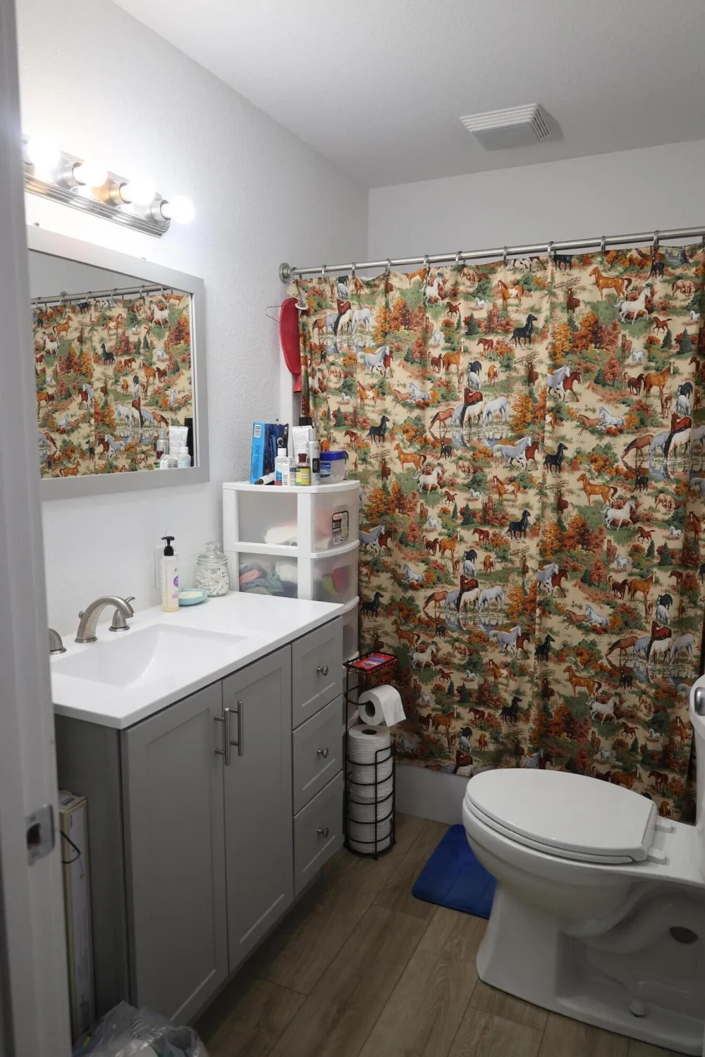 216 Roe Drive Dunlap, TN 37327