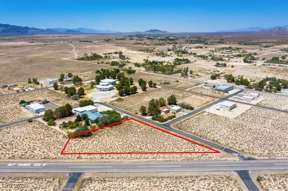 699 Capri Avenue Sandy Valley, NV 89019