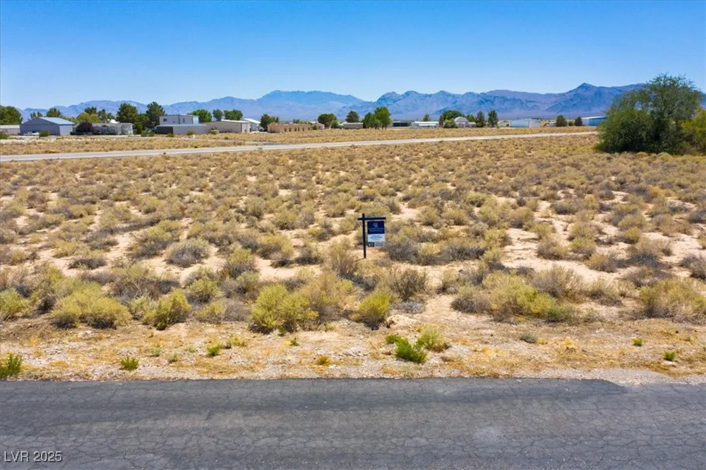 699 Capri Avenue Sandy Valley, NV 89019