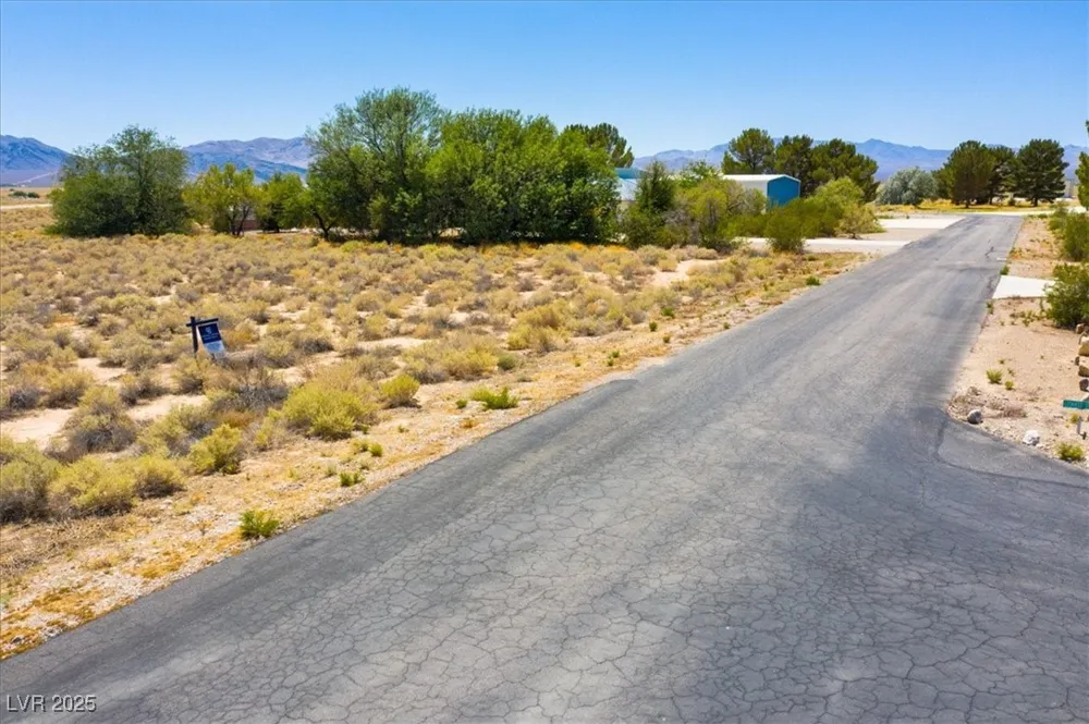 699 Capri Avenue Sandy Valley, NV 89019
