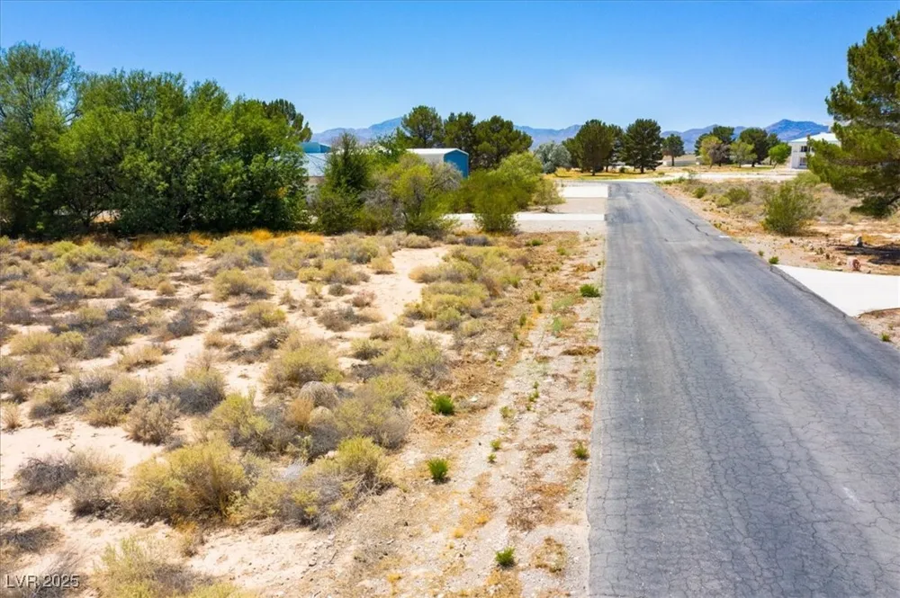 699 Capri Avenue Sandy Valley, NV 89019