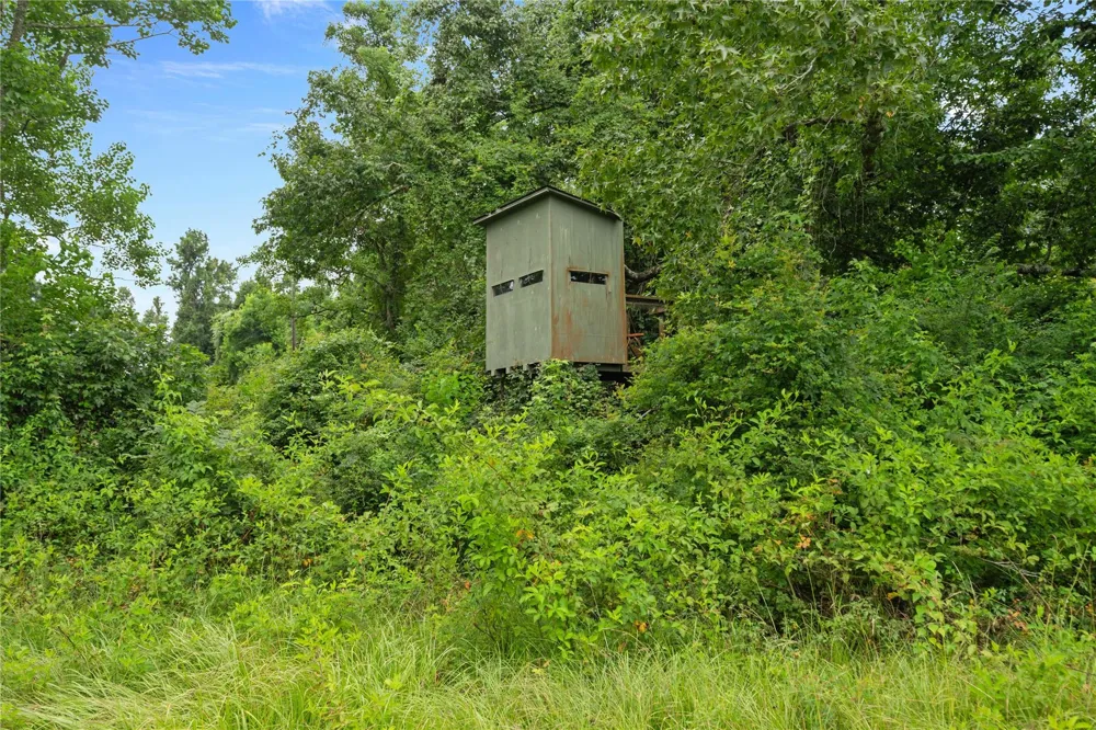 County Road 2084 Street Liberty, TX 77575
