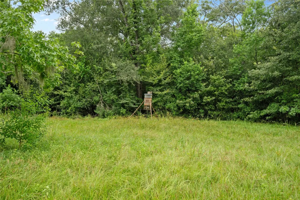 County Road 2084 Street Liberty, TX 77575