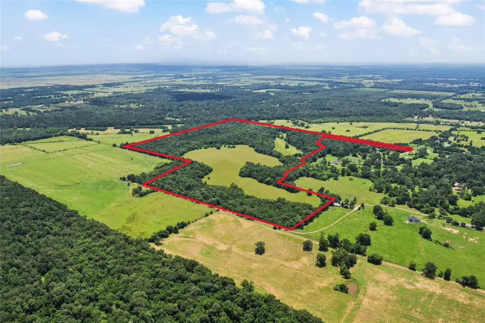 County Road 2084 Street Liberty, TX 77575