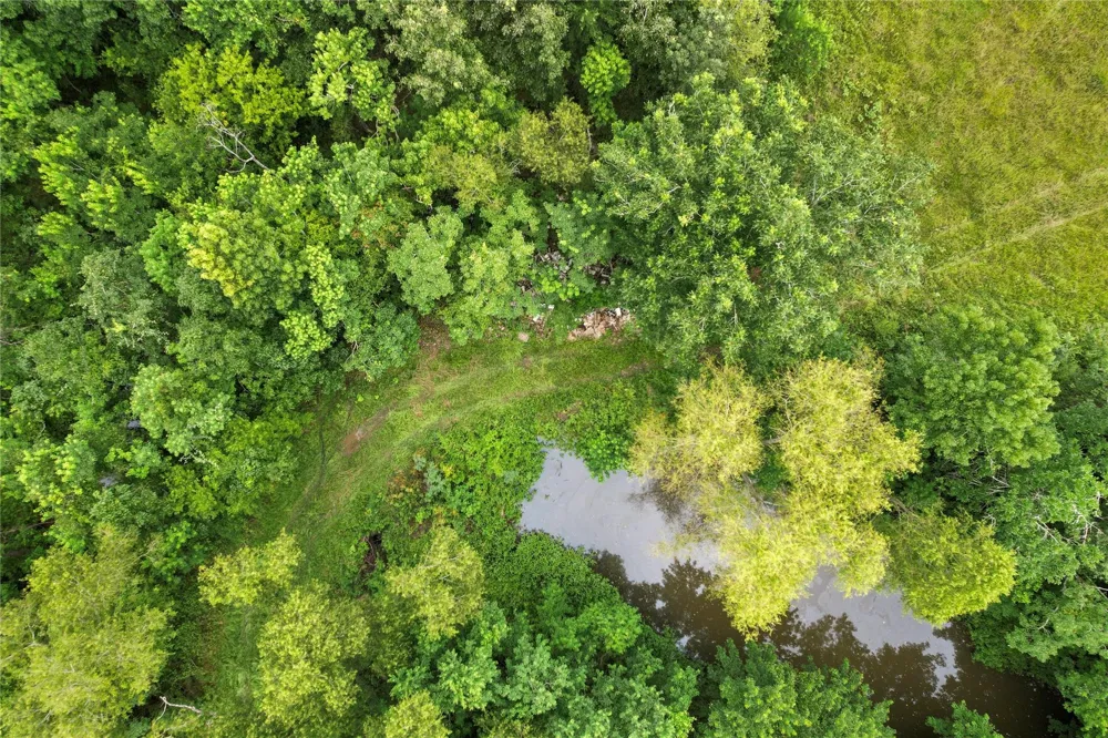 County Road 2084 Street Liberty, TX 77575