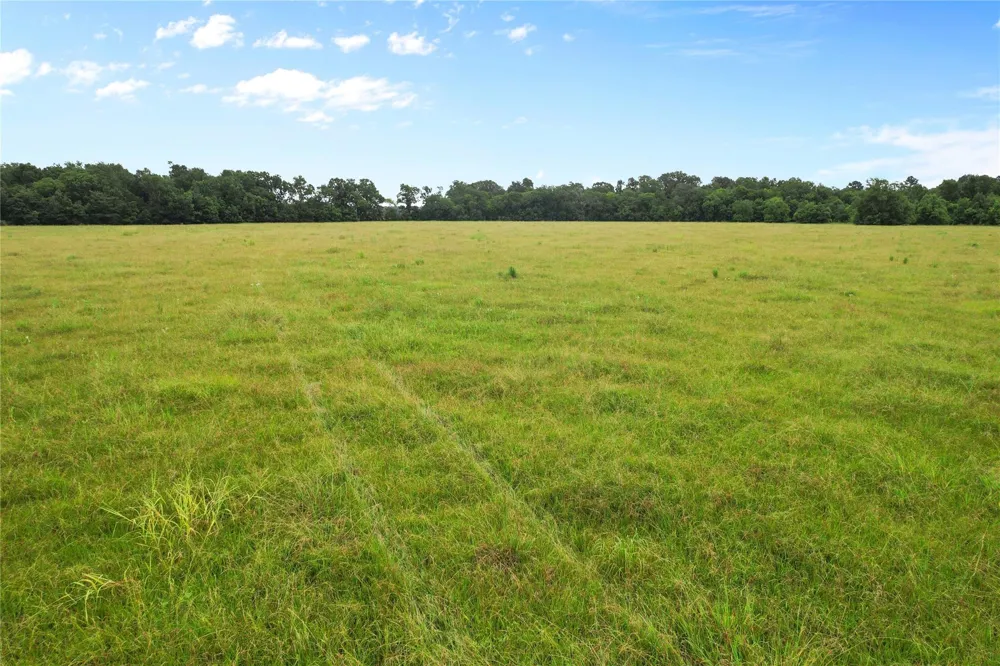 County Road 2084 Street Liberty, TX 77575