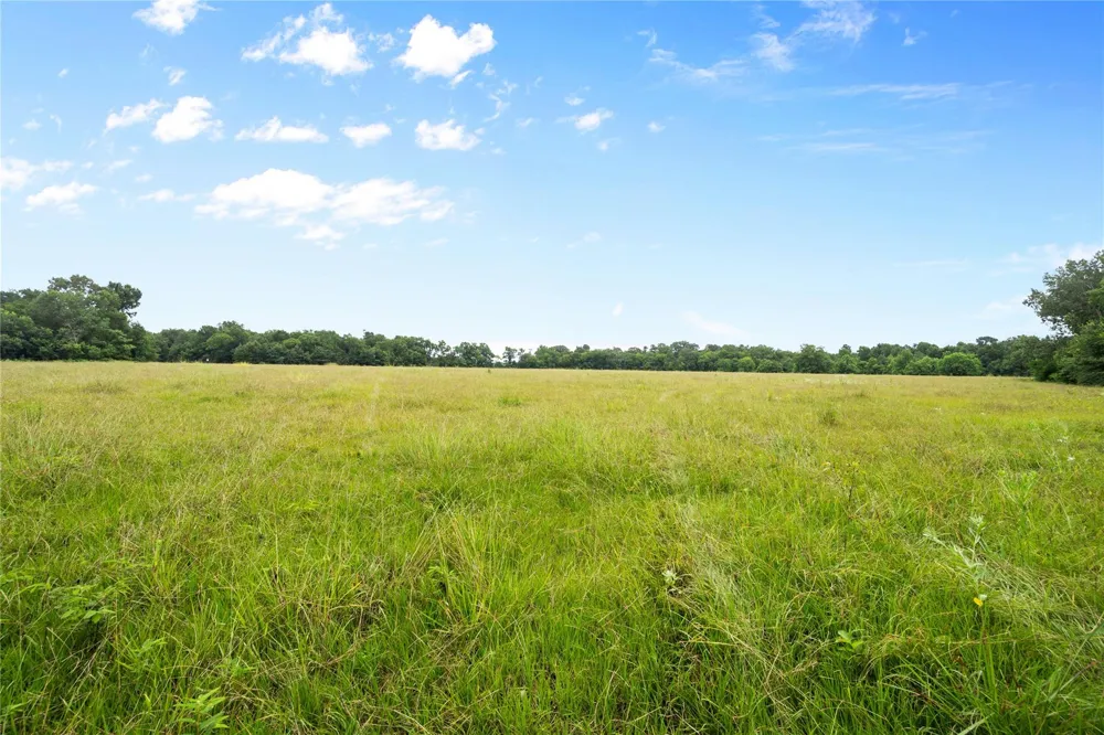 County Road 2084 Street Liberty, TX 77575