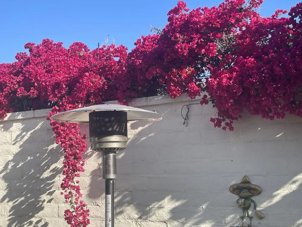 84136 Ave 44, 619 #619 Indio, CA 92203