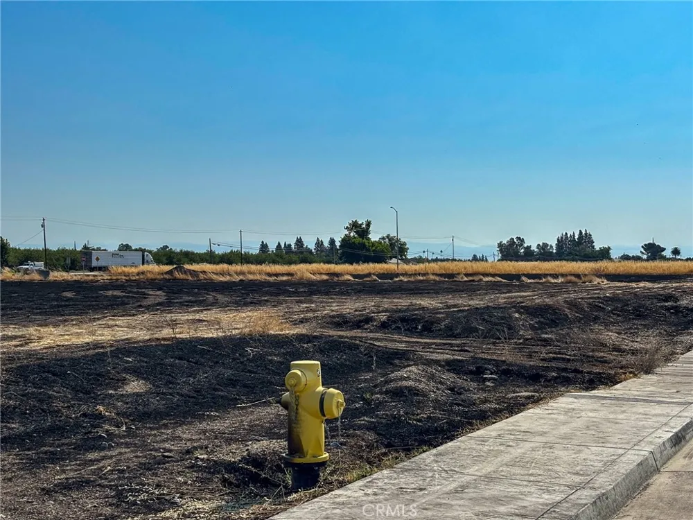 698 Hambright (Corner Hwy 32) Avenue Orland, CA 95963