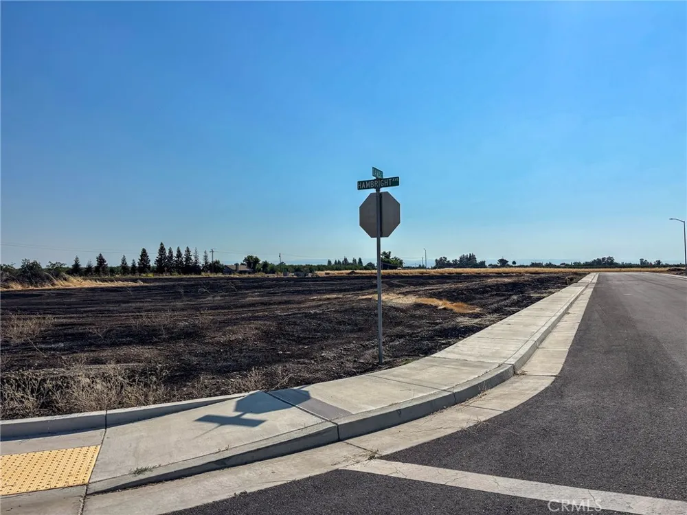 698 Hambright (Corner Hwy 32) Avenue Orland, CA 95963