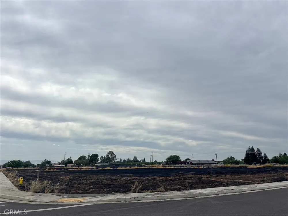 698 Hambright (Corner Hwy 32) Avenue Orland, CA 95963