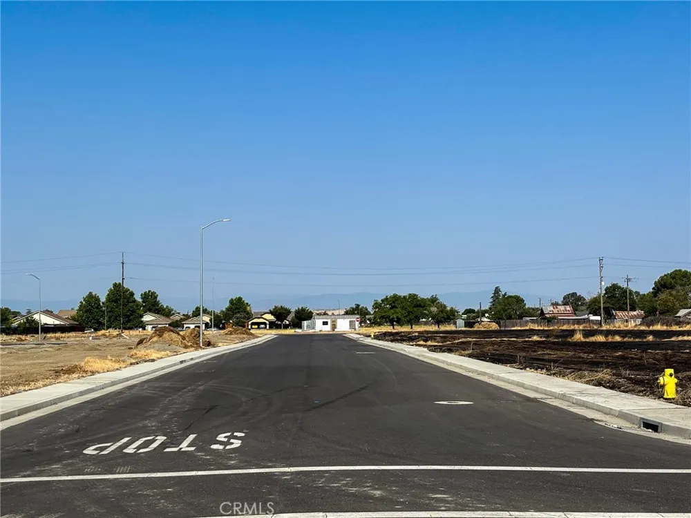 698 Hambright (Corner Hwy 32) Avenue Orland, CA 95963