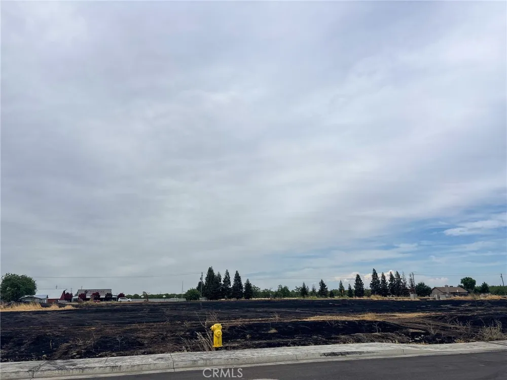 698 Hambright (Corner Hwy 32) Avenue Orland, CA 95963
