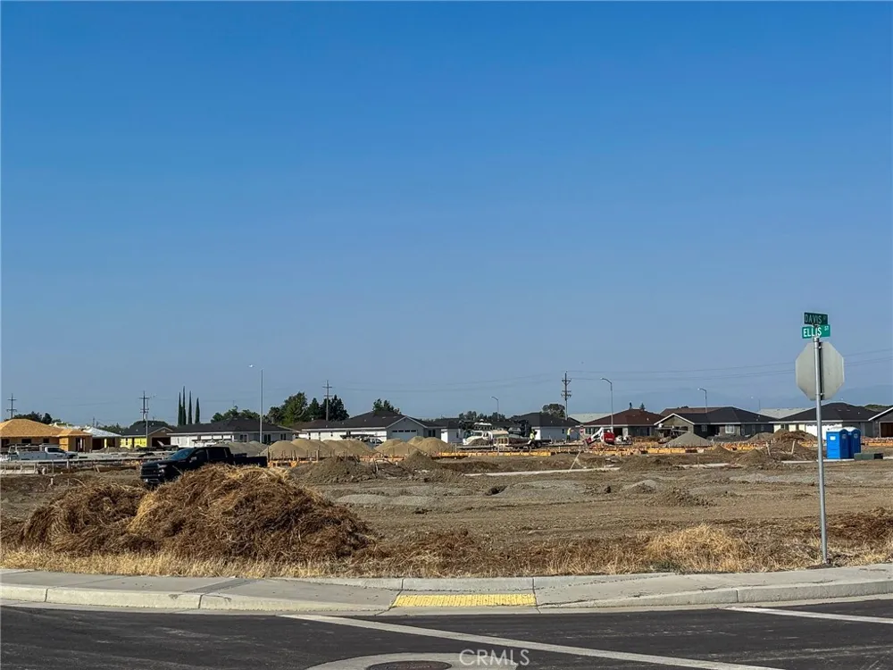 698 Hambright (Corner Hwy 32) Avenue Orland, CA 95963