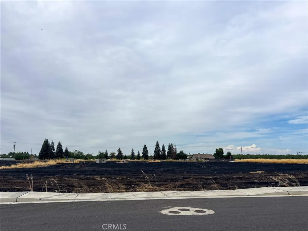 698 Hambright (Corner Hwy 32) Avenue Orland, CA 95963