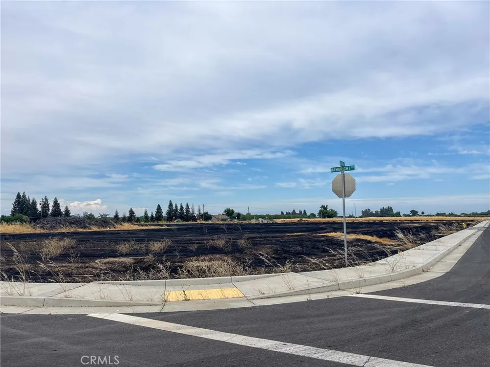 698 Hambright (Corner Hwy 32) Avenue Orland, CA 95963