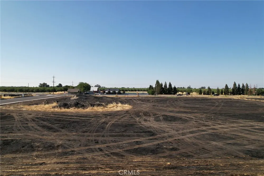 698 Hambright (Corner Hwy 32) Avenue Orland, CA 95963
