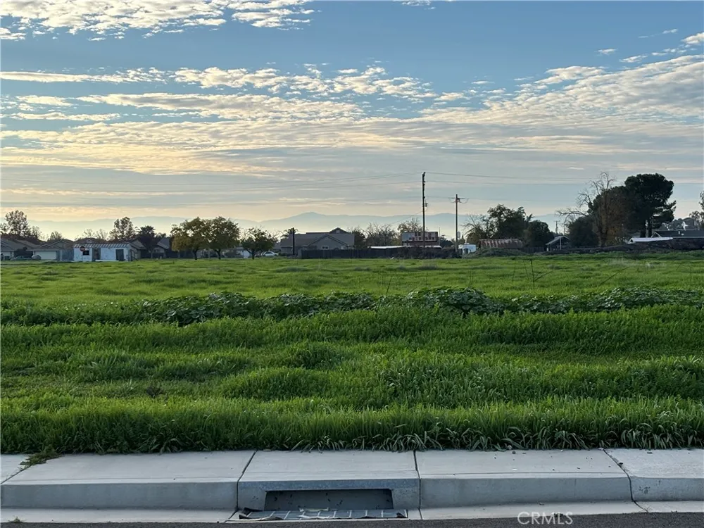 698 Hambright (Corner Hwy 32) Avenue Orland, CA 95963