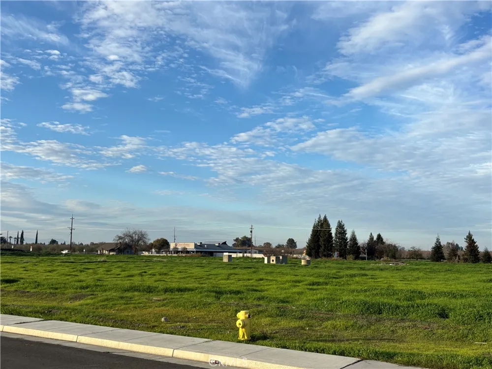 698 Hambright (Corner Hwy 32) Avenue Orland, CA 95963