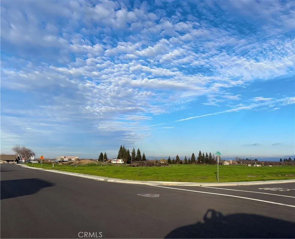 698 Hambright (Corner Hwy 32) Avenue Orland, CA 95963
