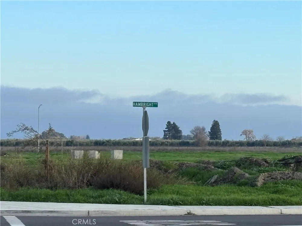 698 Hambright (Corner Hwy 32) Avenue Orland, CA 95963