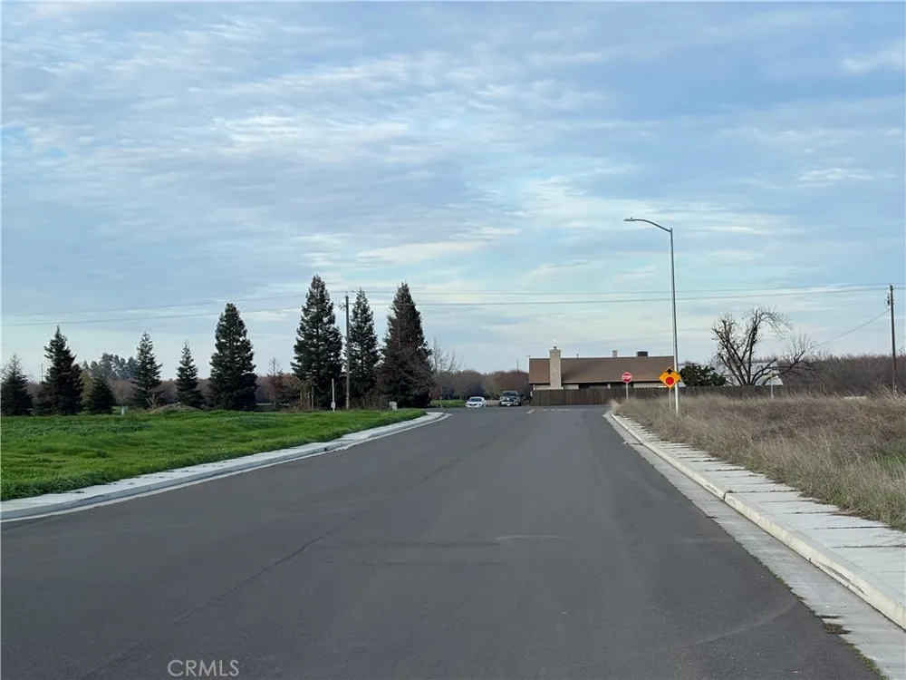 698 Hambright (Corner Hwy 32) Avenue Orland, CA 95963