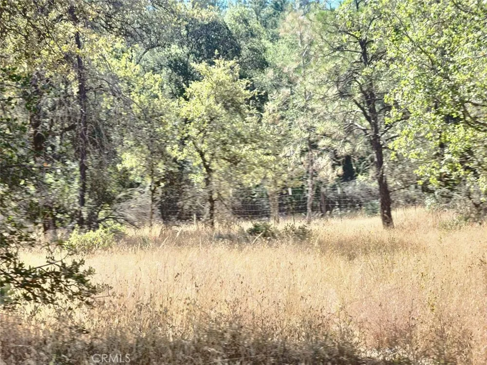 48 Rices Texas Hill Road Oregon House, CA 95962