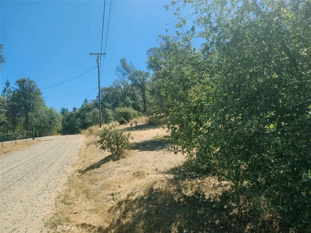 48 Rices Texas Hill Road Oregon House, CA 95962
