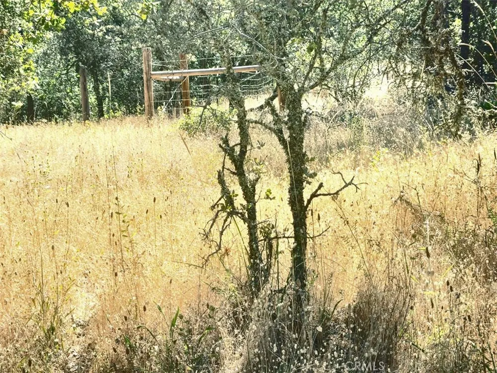 48 Rices Texas Hill Road Oregon House, CA 95962