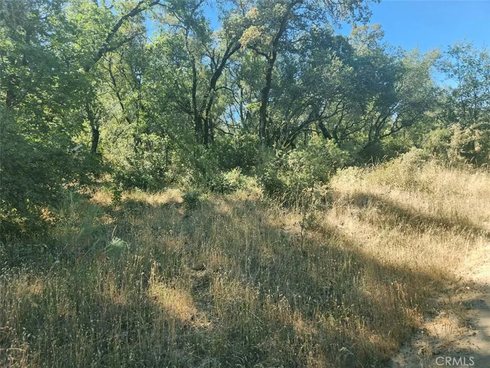48 Rices Texas Hill Road Oregon House, CA 95962