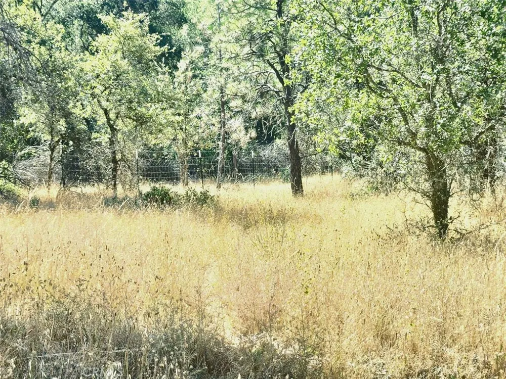 48 Rices Texas Hill Road Oregon House, CA 95962