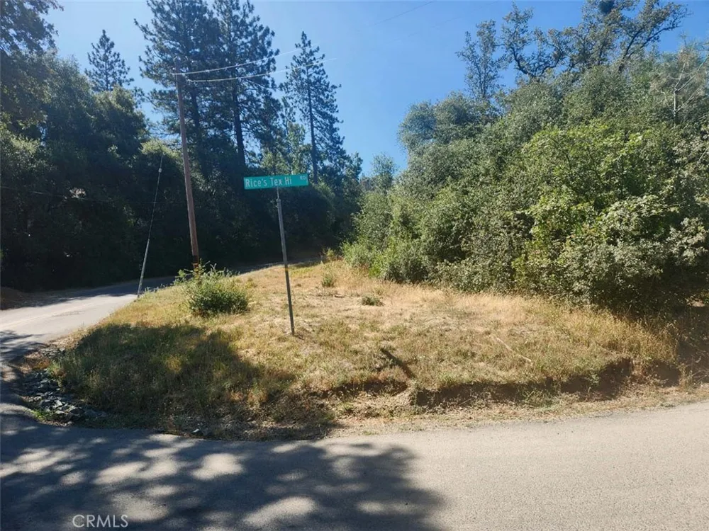 47 Texas Hill Road Oregon House, CA 95962