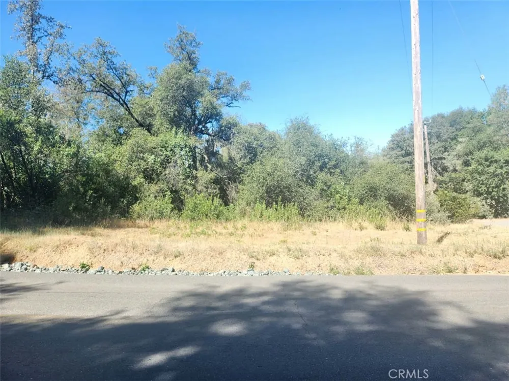 47 Texas Hill Road Oregon House, CA 95962