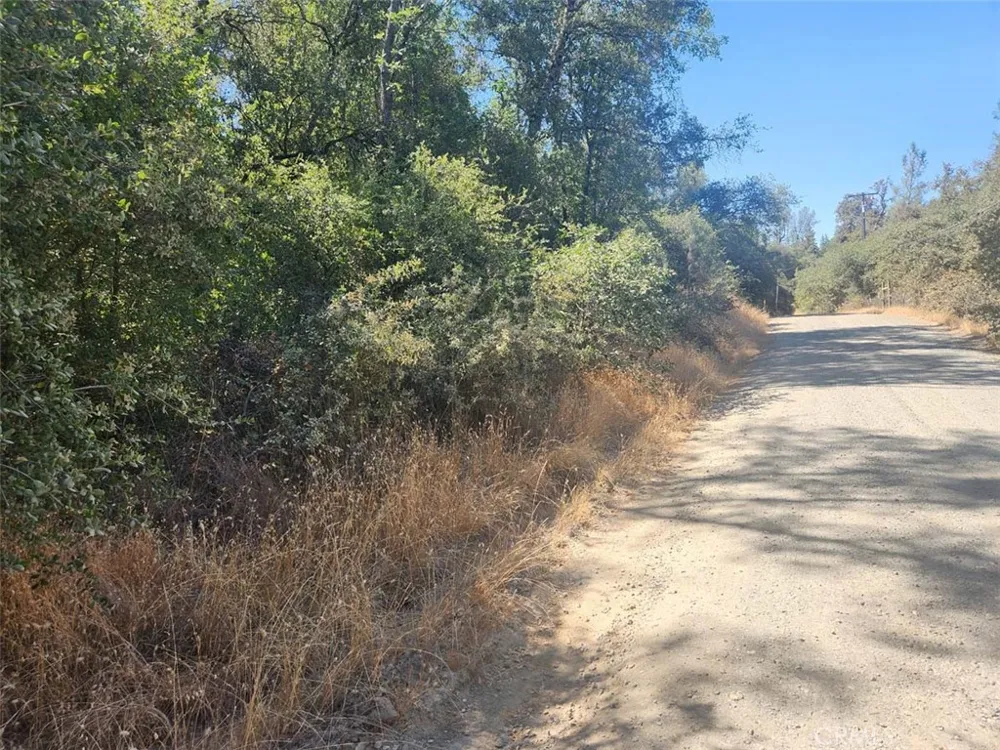 47 Texas Hill Road Oregon House, CA 95962