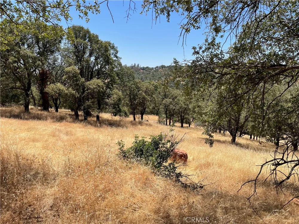 7607 White Oak Lane Browns Valley, CA 95918
