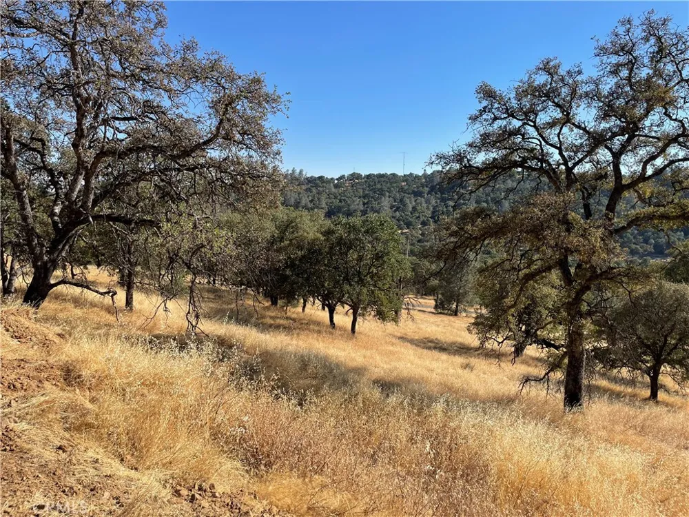 7607 White Oak Lane Browns Valley, CA 95918