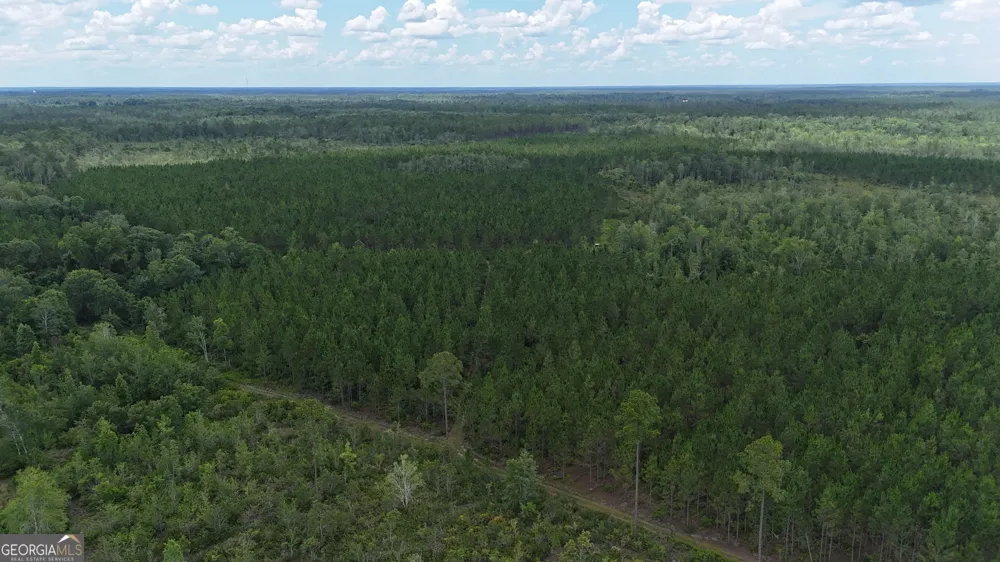 0 Fire Tower RD Manor, GA 31550