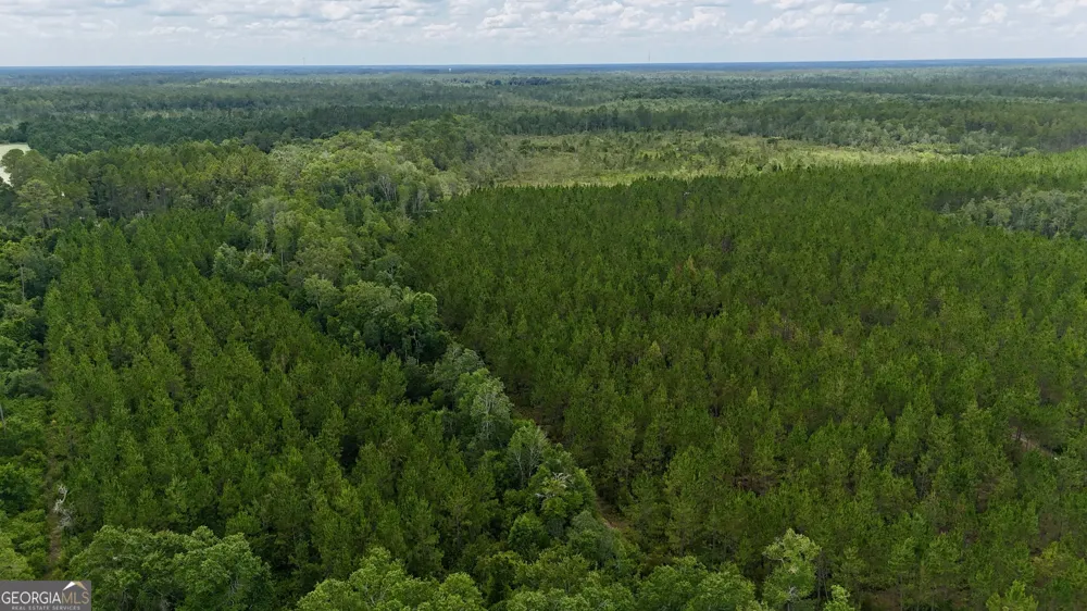 0 Fire Tower RD Manor, GA 31550