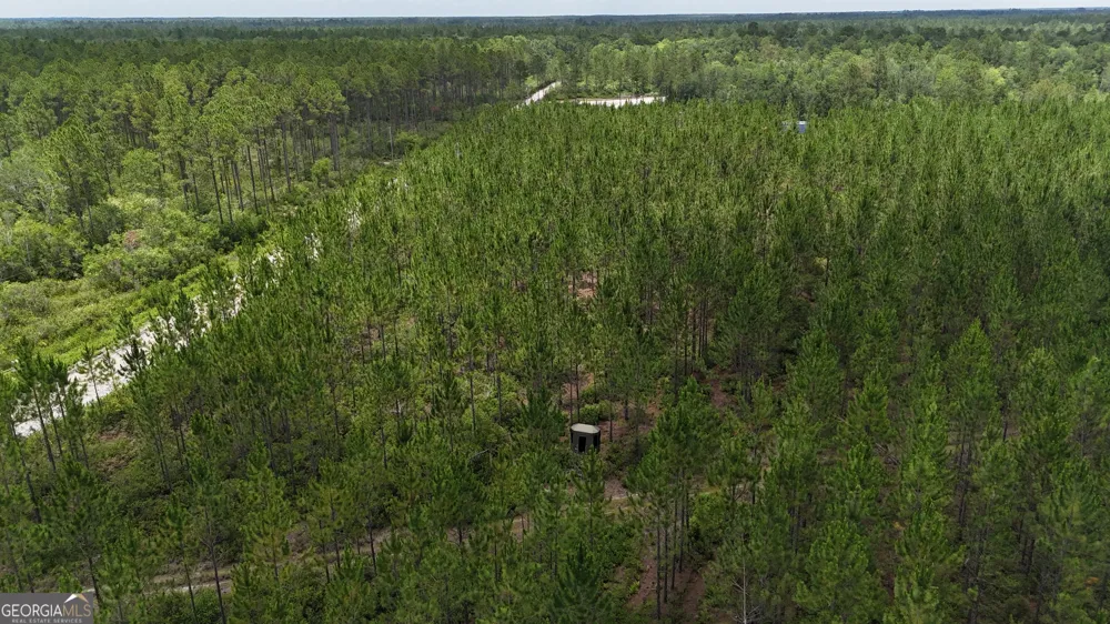 0 Fire Tower RD Manor, GA 31550