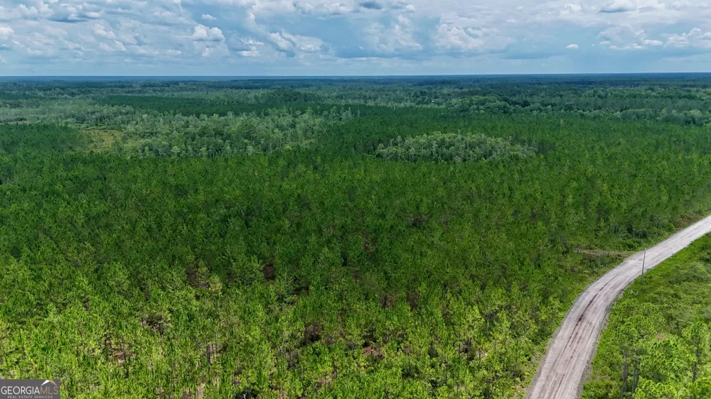 0 Fire Tower RD Manor, GA 31550