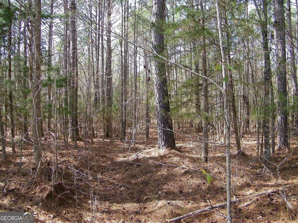 LOT 10 Blackberry Bend Elberton, GA 30635