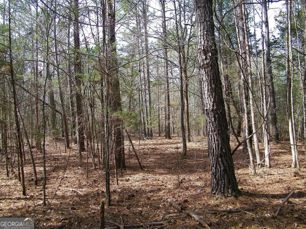 LOT 10 Blackberry Bend Elberton, GA 30635