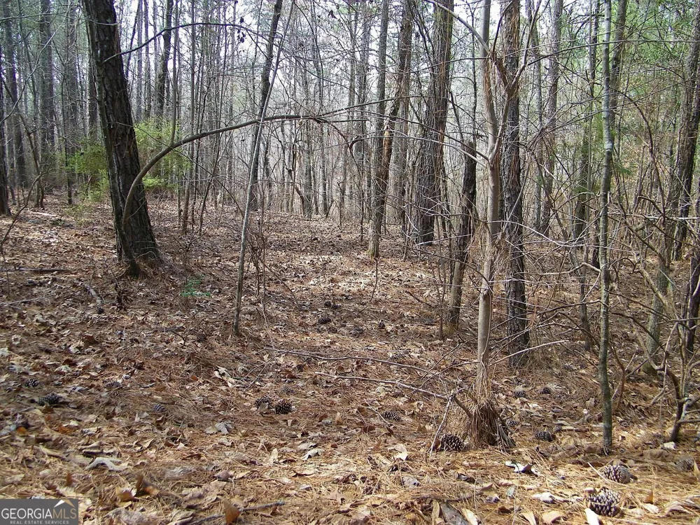 LOT 10 Blackberry Bend Elberton, GA 30635