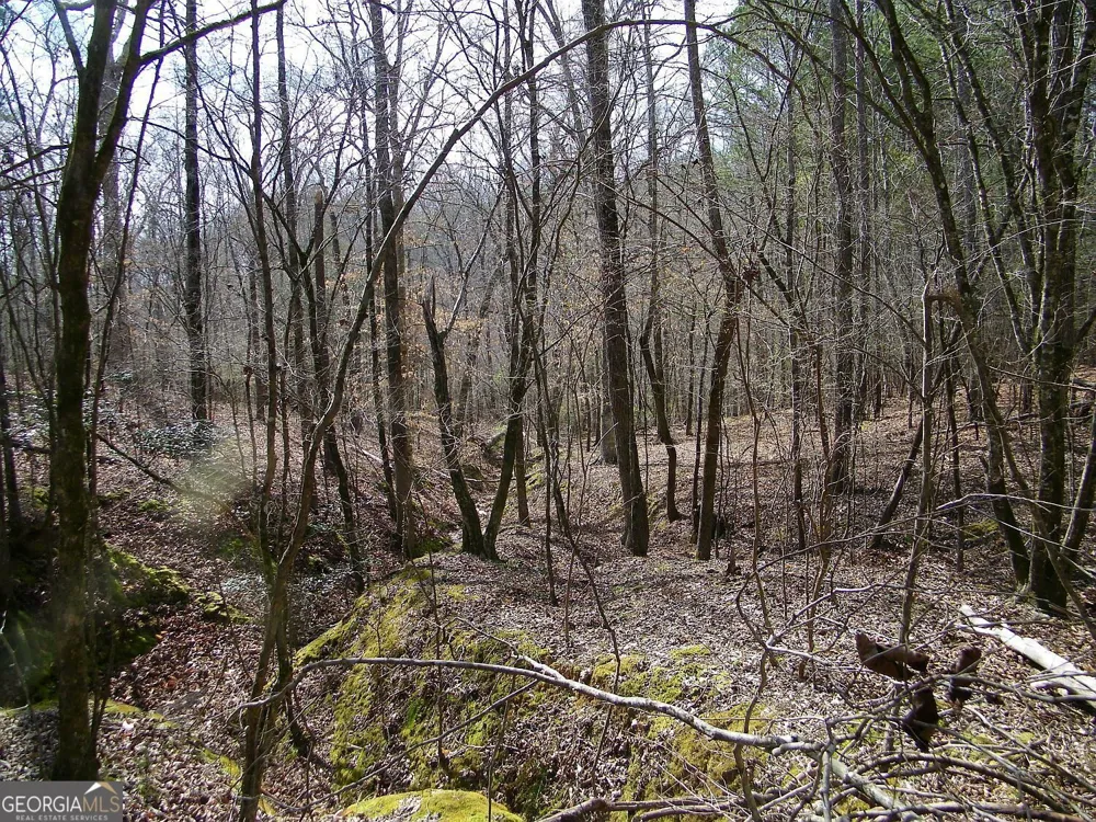 LOT 10 Blackberry Bend Elberton, GA 30635