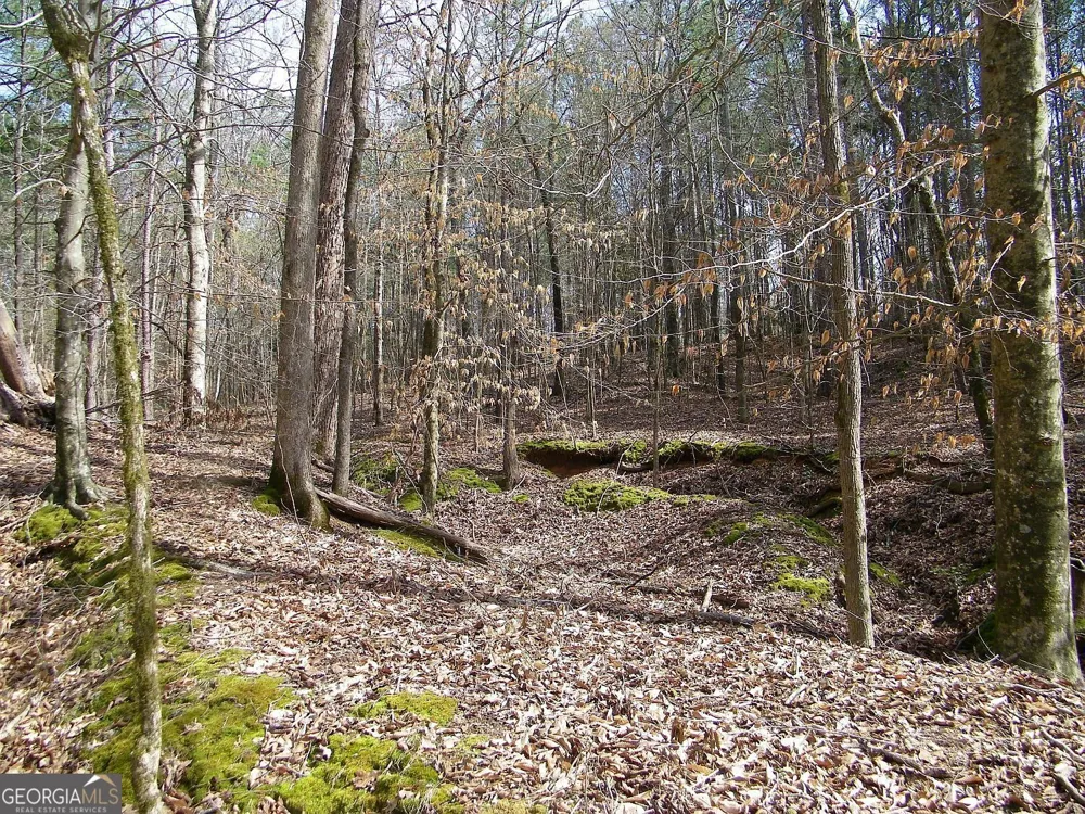 LOT 10 Blackberry Bend Elberton, GA 30635