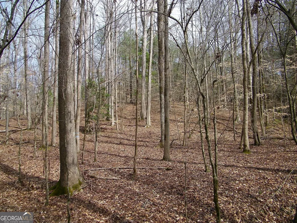 LOT 10 Blackberry Bend Elberton, GA 30635