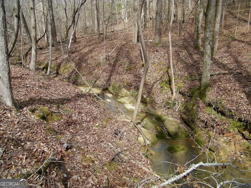 LOT 10 Blackberry Bend Elberton, GA 30635