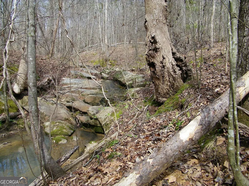 LOT 10 Blackberry Bend Elberton, GA 30635