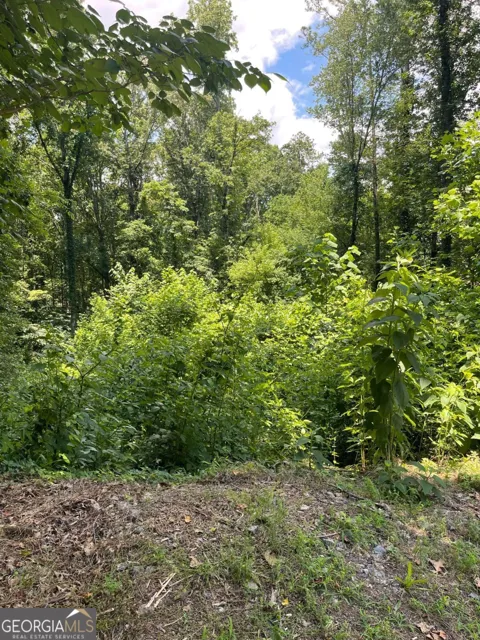 609 Ann CT