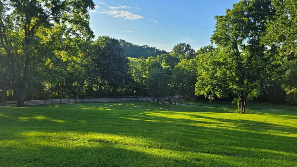 4698 Bennett Hollow Rd Thompsons Station, TN 37179
